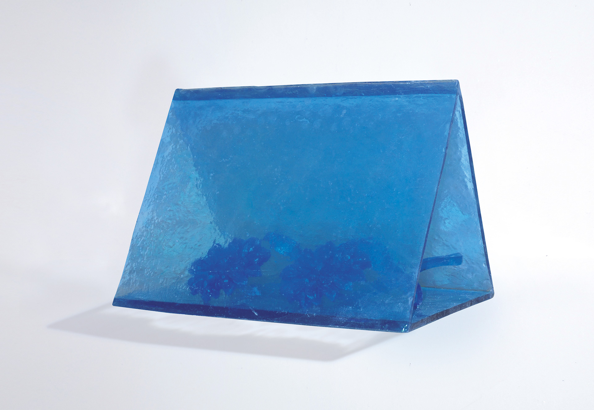 ACCAMPAMENTO DI FIORI (Blu)