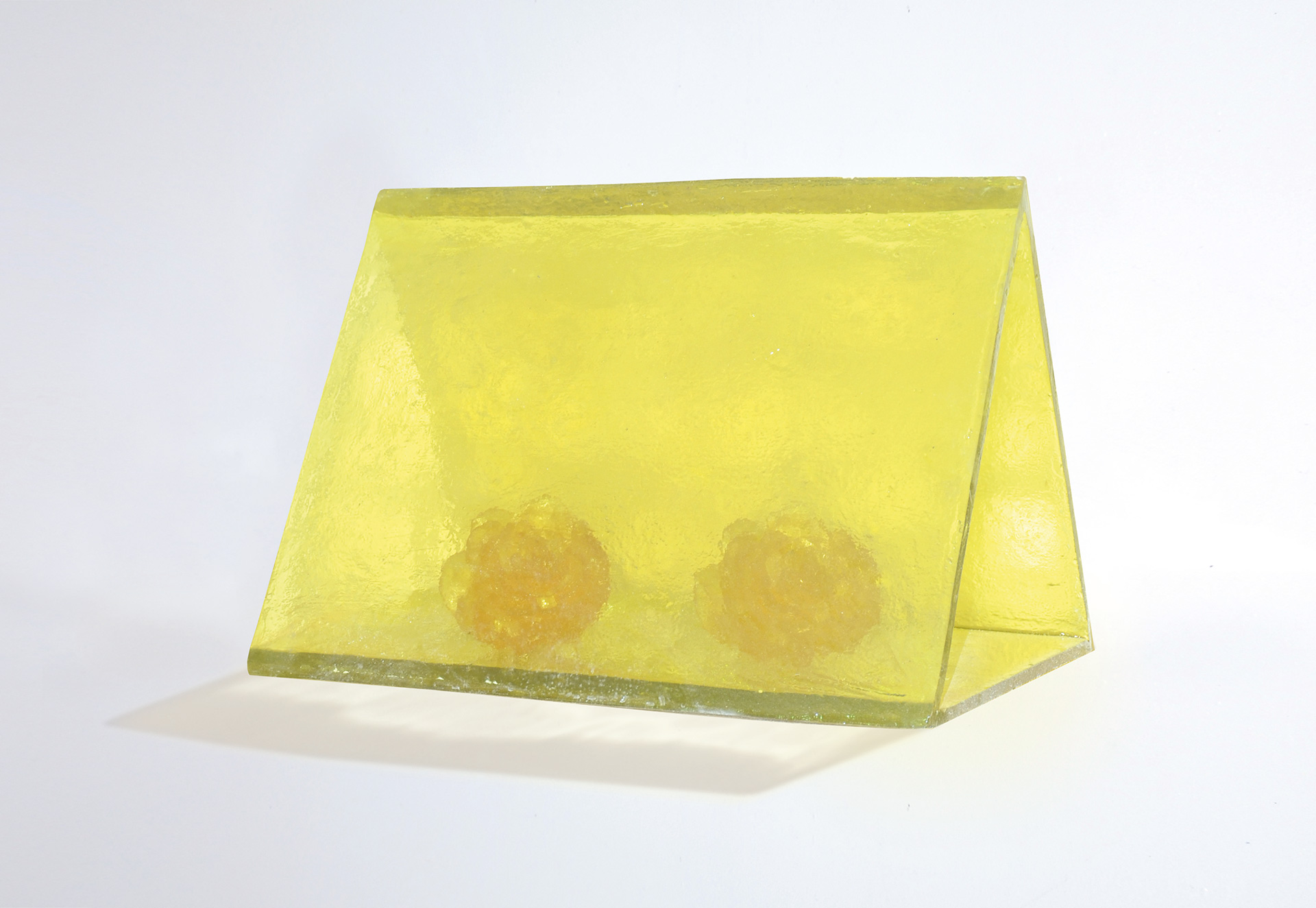 ACCAMPAMENTO DI FIORI (Giallo)
