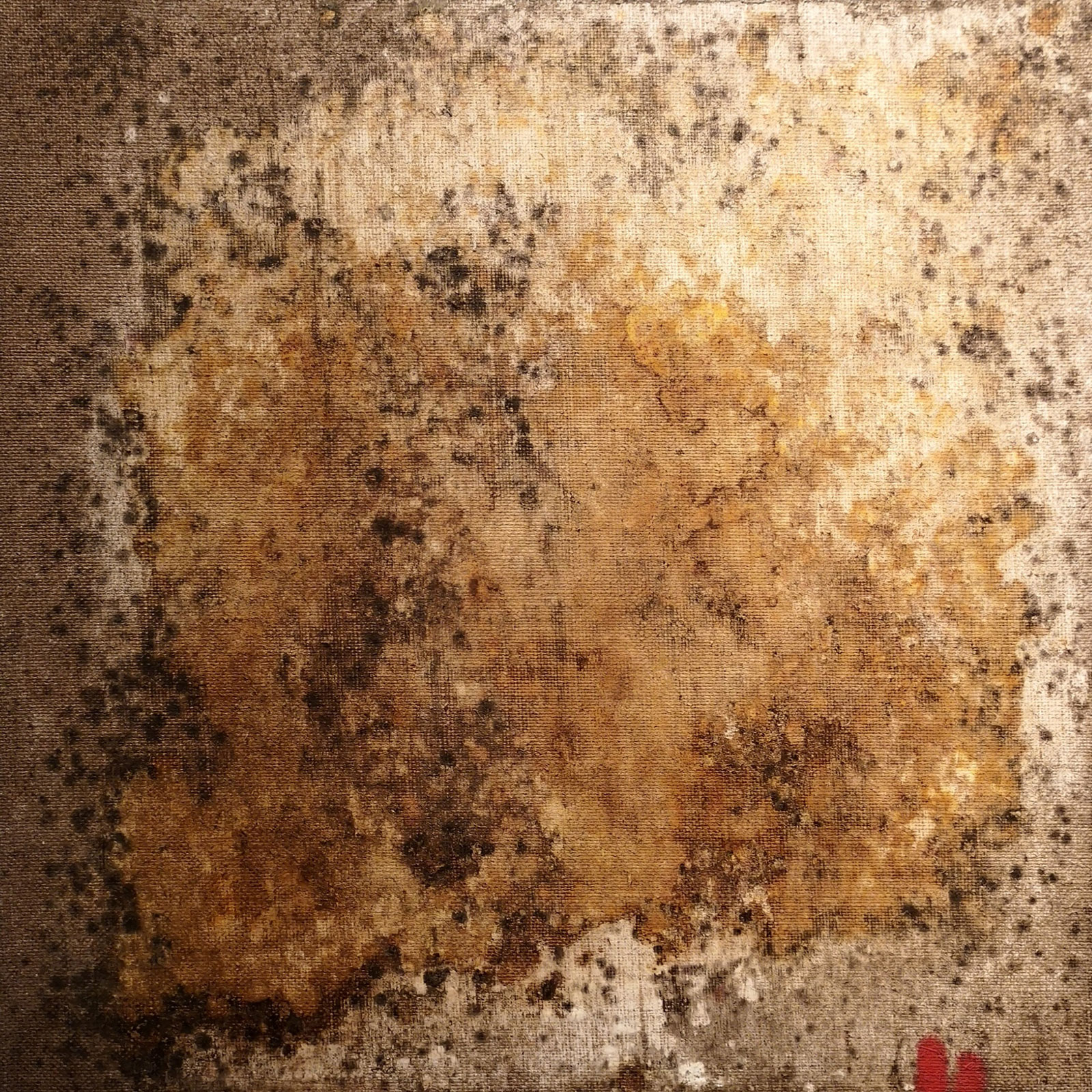 Genius Loci, Pompei, 2018 (15)